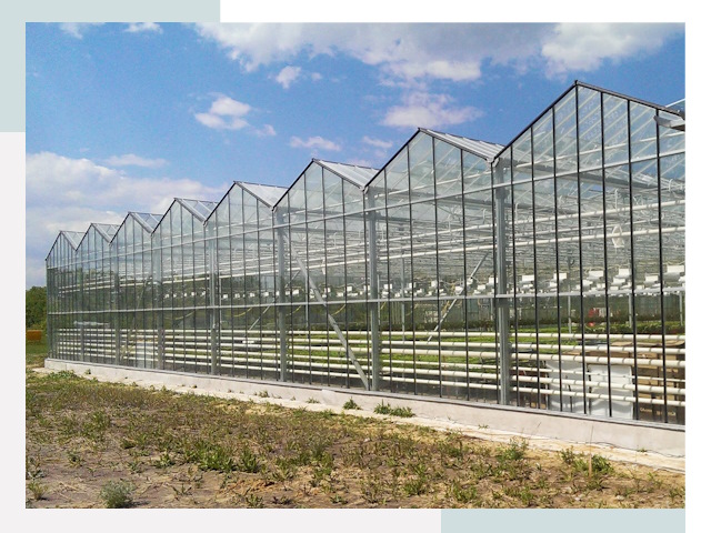 Строительство теплиц в Сестрорецк от 615 руб. за м²