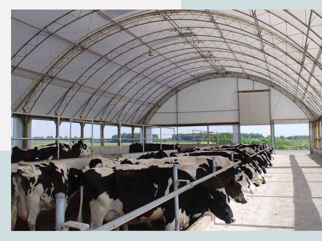 Тентовые коровники в Сестрорецке